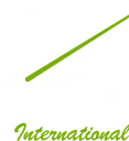 Saber Academy International